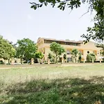 Elia Buccino